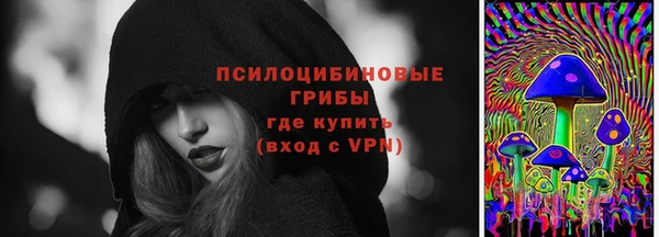 apvp Арсеньев