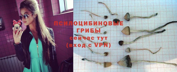 ECSTASY Аркадак