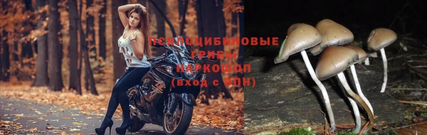mix Зеленодольск