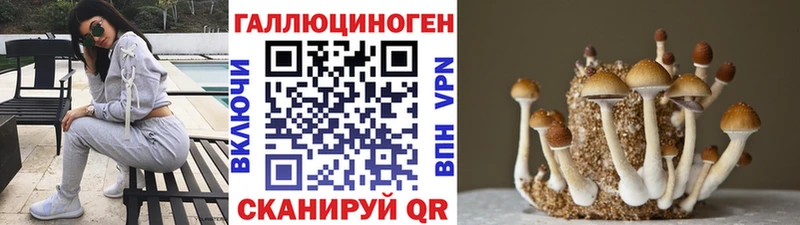 Псилоцибиновые грибы мухоморы  Боровск 